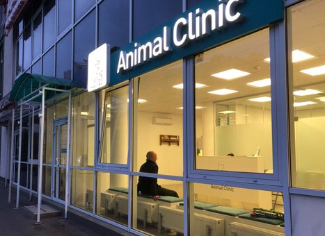 Veterinary clinic "Animal Clinic" on Poznyaki in Kiev. Bring your pet at a discount.