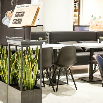 Ice cream studio &quot;gelarty&quot; in kiev 1