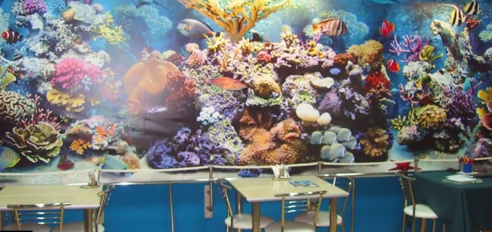 Доступные цены в Немо