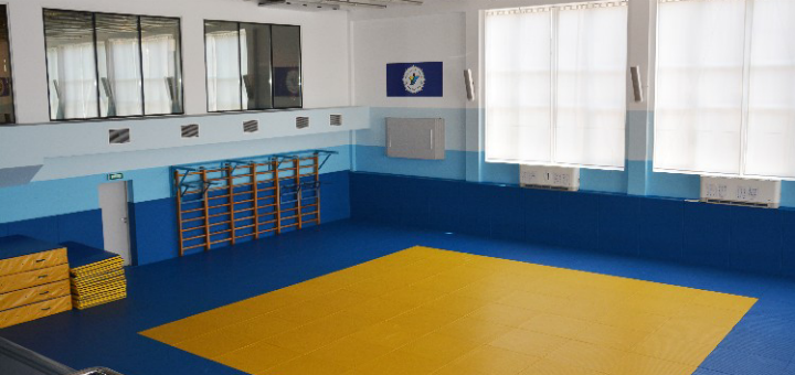 Martial arts in the sports club "Tiger" in Odessa. Sign up for stock judo classes.