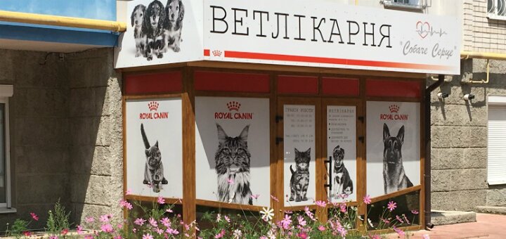 Недорого ветклиника «собаче серце»