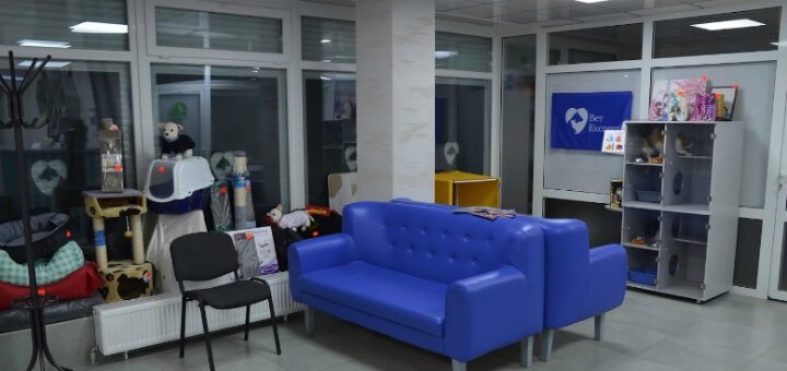 Акції ветеринарна клініка «ветекспертів»