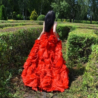 Organization of photo sessions Photo of dream in Kiev. Inexpensive.