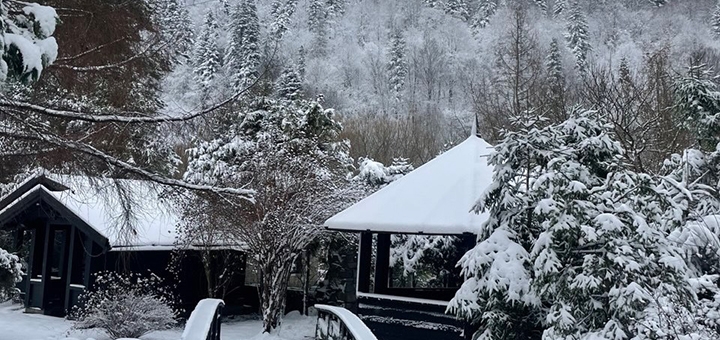 Парк-готель Svyat. Бронюйте за акцією 4