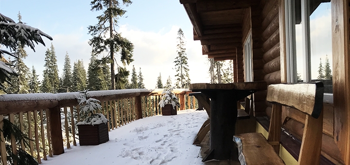 Alpine Eco Chalet & Wellness on Dragobrat. Book with promotion 6