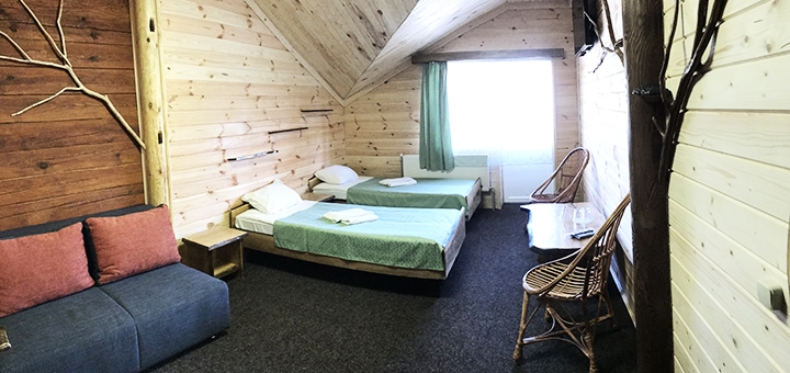 Alpine Eco Chalet & Wellness on Dragobrat. Book with promotion 14