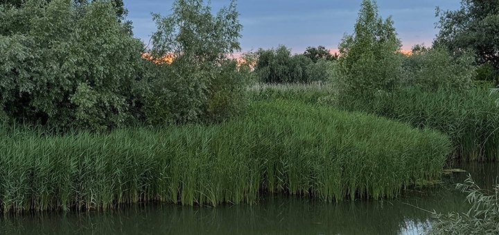 Guesthouse Pristan in the Odessa region. Visit with a special offer of 7