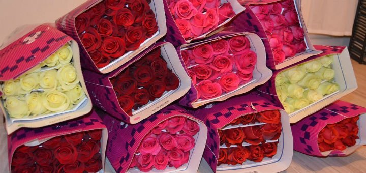 Доставка еквадорських троянд «FlorumFlos» у Вінниці. Замовляйте живі троянди по акції.