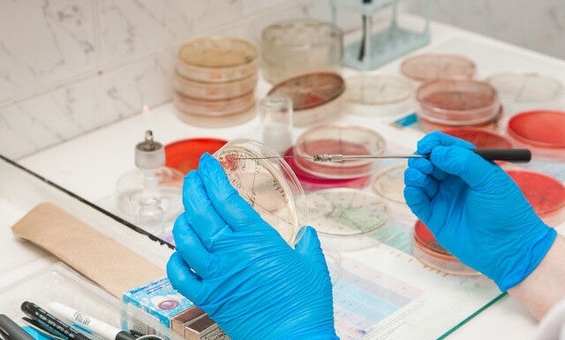 Medical laboratory Accurate diagnosis dnepr discount 11