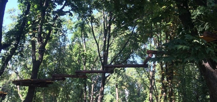 Веревочный парк Monkey Forest в Полтаве, маршруты со скидкой