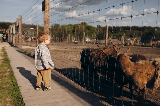 Yasnogorodka Family Ecopark. Ostrich Farm 3