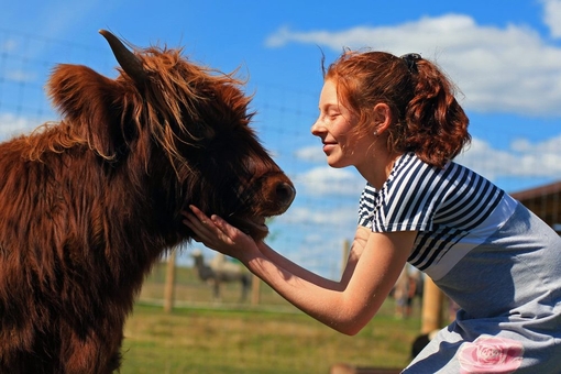 Сімейний екопарк Ясногородка, зоопарк