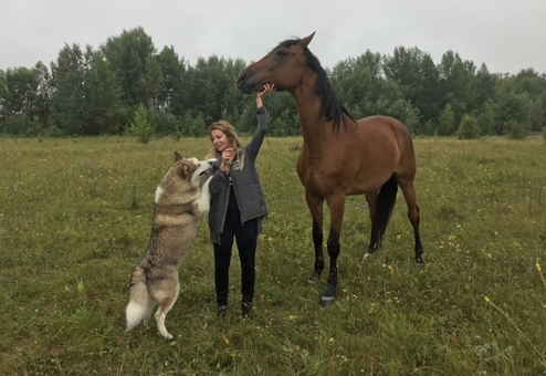 Загородный комплекс Дом Хаски. Отдыхайте со скидкой 55