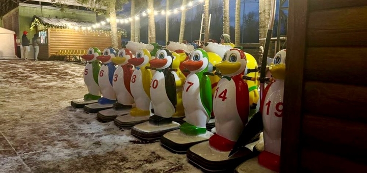 Каток в Киеве Полюс Айс 9