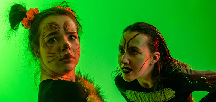 Theater on Solomenka Divny Zamok. Visit for promotion 9