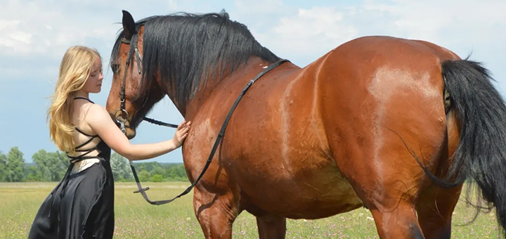 Svoboda Equestrian Center. Visit with a special offer of 7.