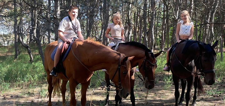 Demos Equestrian Club. Visit with a 5% discount.