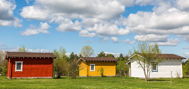 Adventurer Children's Camp. Visit with a special offer of 2.