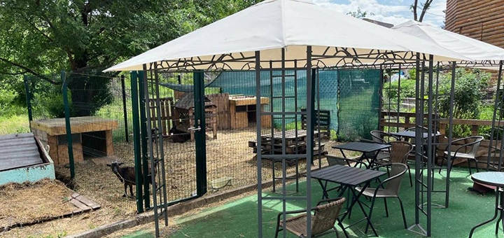 Reset, a Cameroon goat café. Visit with a special offer of 7.