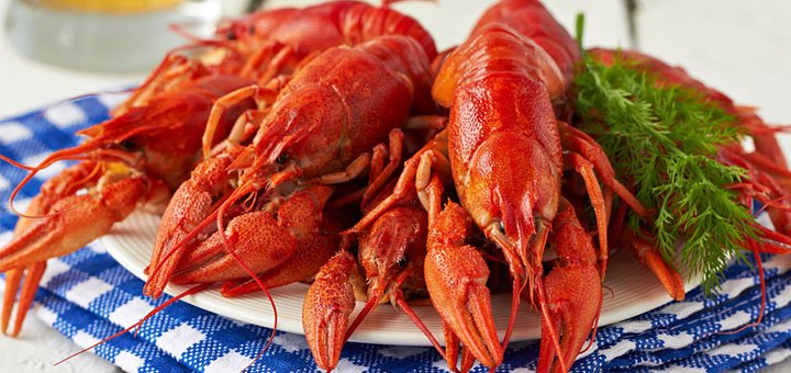 Free delivery of crayfish across Kiev and Kiev region. Order crayfish for a special offer.