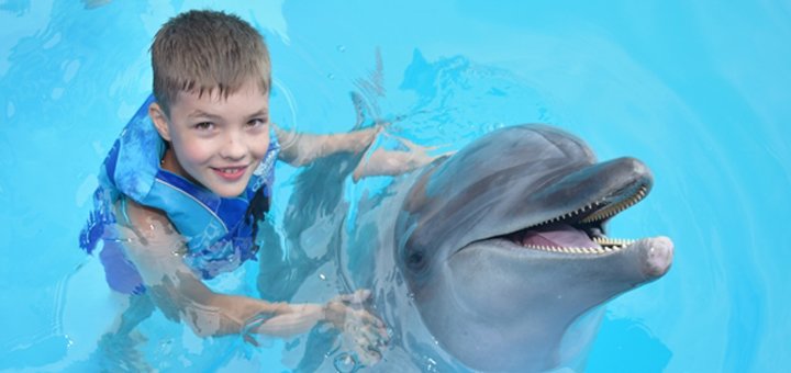 Discounts for swimming with dolphins in &quot;nemo&quot;