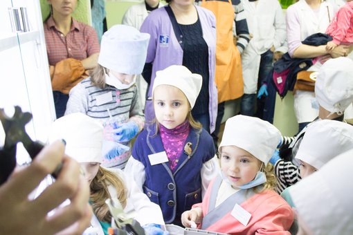 Master class for children in veterinary medicine at the Prokhvost clinic in Dnipro. Book at a discount.