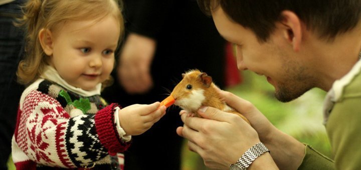 Discounts and promotions at the zoo &quot;touching zoo&quot; in odessa