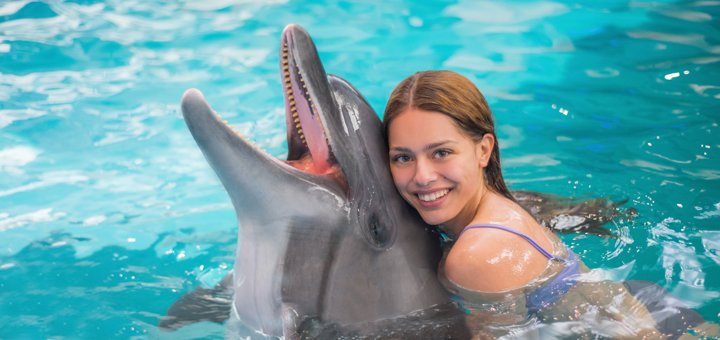 Treat yourself to the holiday spirit by swimming with dolphins. service promotions.