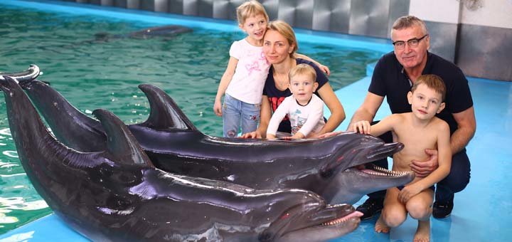 Rest in the dolphinarium "Nemo". Buy at a discount.