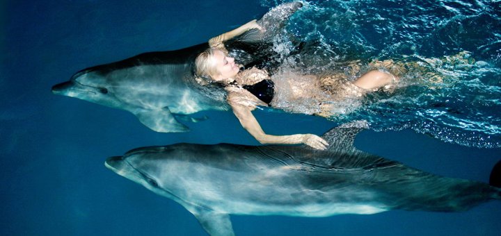 Swimming with dolphins according to the action in the fitness club &quot;nemo fit &amp; spa&quot; in odessa.