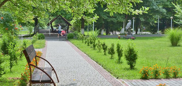 Discounts for rest in the health resort borzhava4