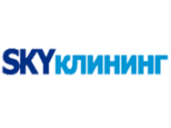 SKYклінінг