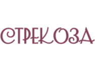 Стрекоза на Чмиленка