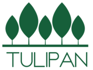 Tulipan (Тюльпан)